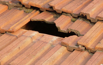 roof repair Loggerheads